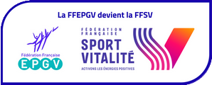 logo ffepgv31